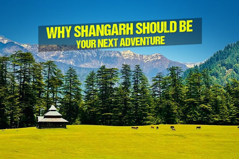 why shangarh