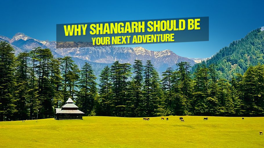 shangarh