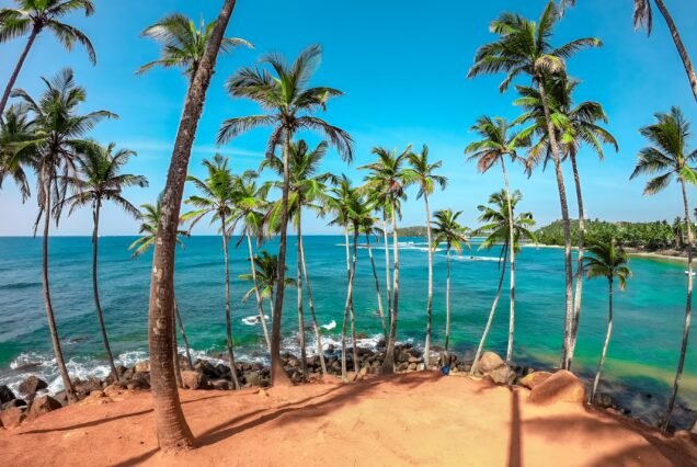 Sri Lanka Tour Package